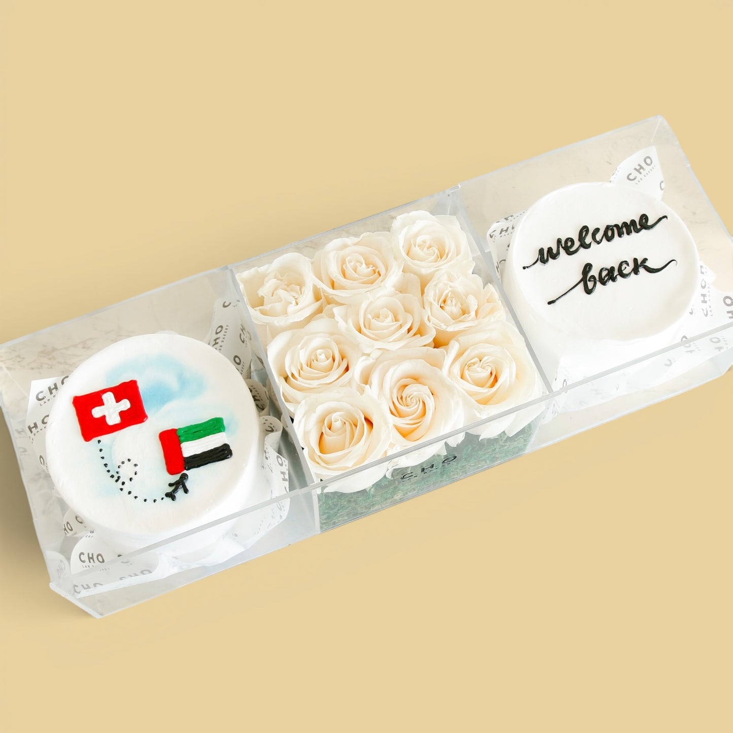 Switzerland to UAE