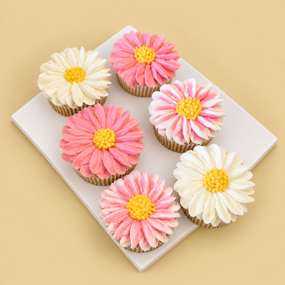 Pink & White Daisy Cupcake Box design reference