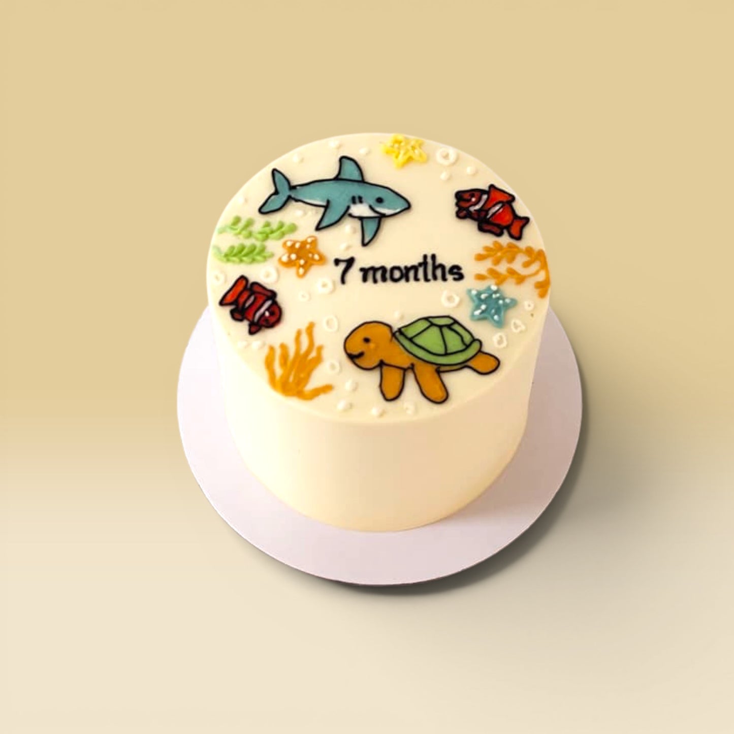 7 Months — Shark & Turtle