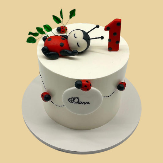 Red Ladybug — New Baby